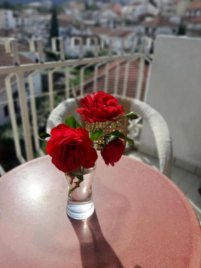Apartment Danilo Χέρτσεγκ Νόβι Εξωτερικό φωτογραφία